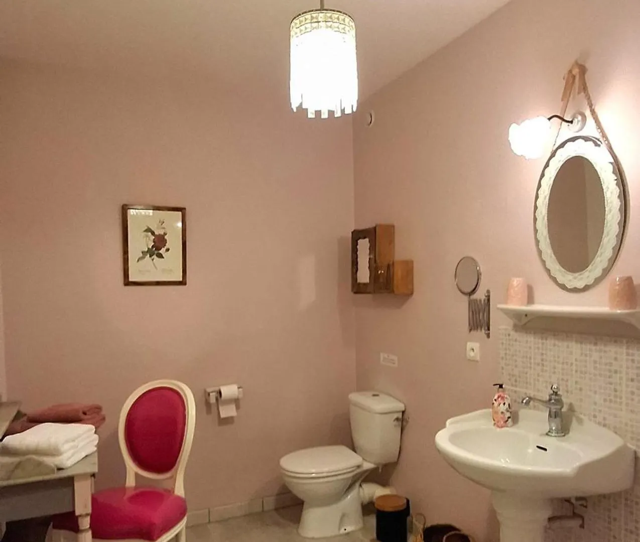 La Cour Des Saligues Bed & Breakfast Riscle Fransa