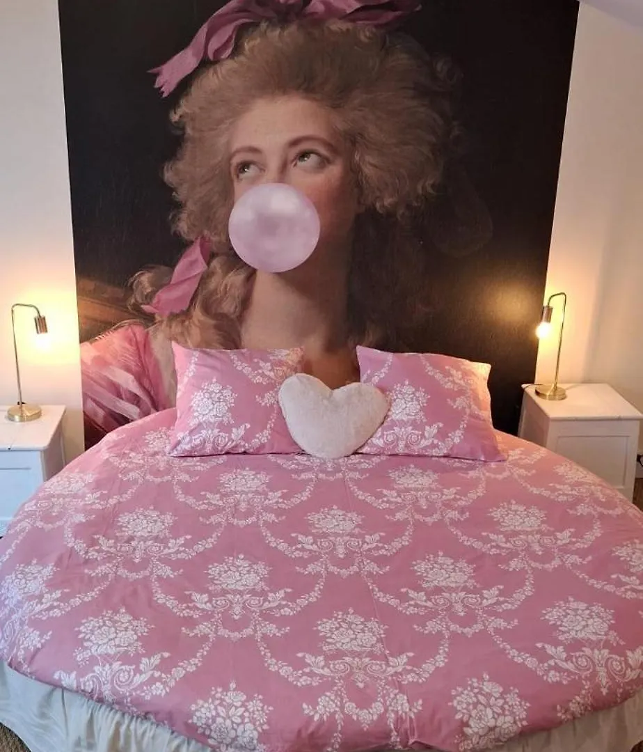 La Cour Des Saligues Bed & Breakfast Riscle Fransa