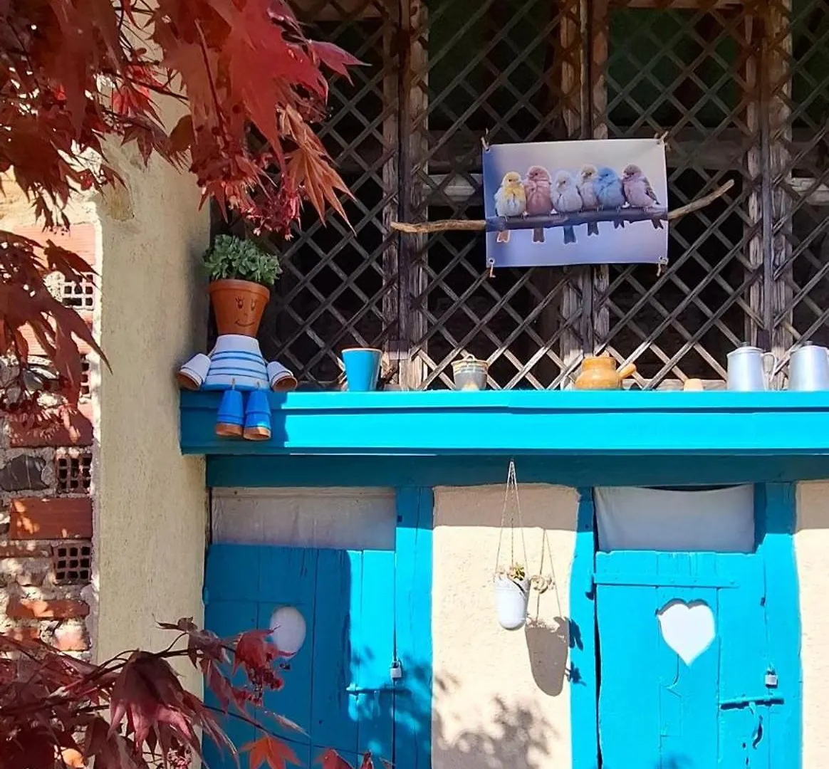 La Cour Des Saligues Bed & Breakfast Riscle Fransa